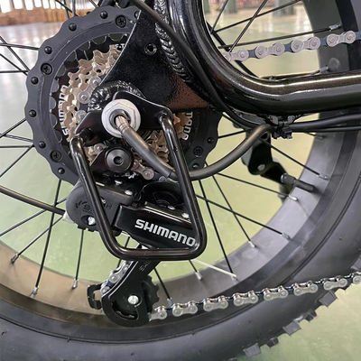Fatbike Warehouse E-Bike 500w 750w V20 Электрический велосипед Мотор с 15AH литий батареи