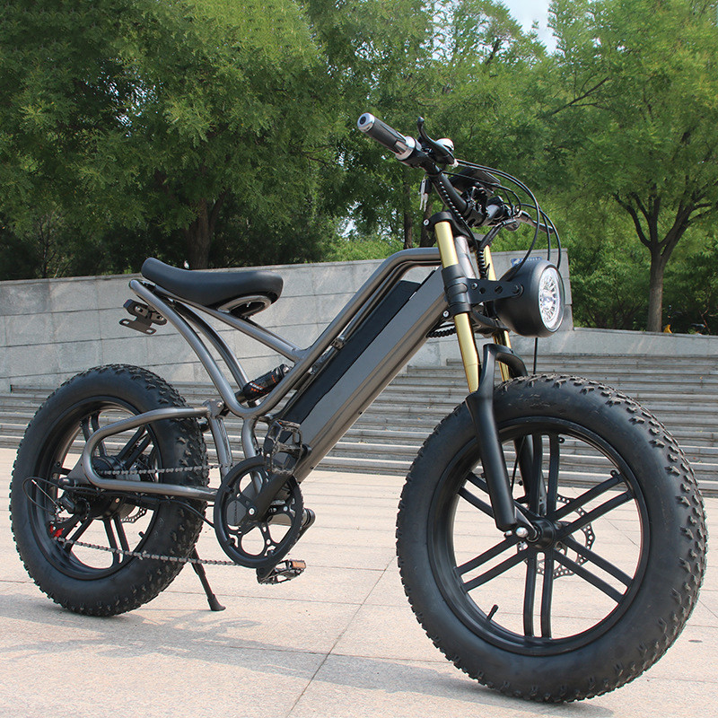 Fatbike Warehouse E-Bike 500w 750w V20 Электрический велосипед Мотор с 15AH литий батареи